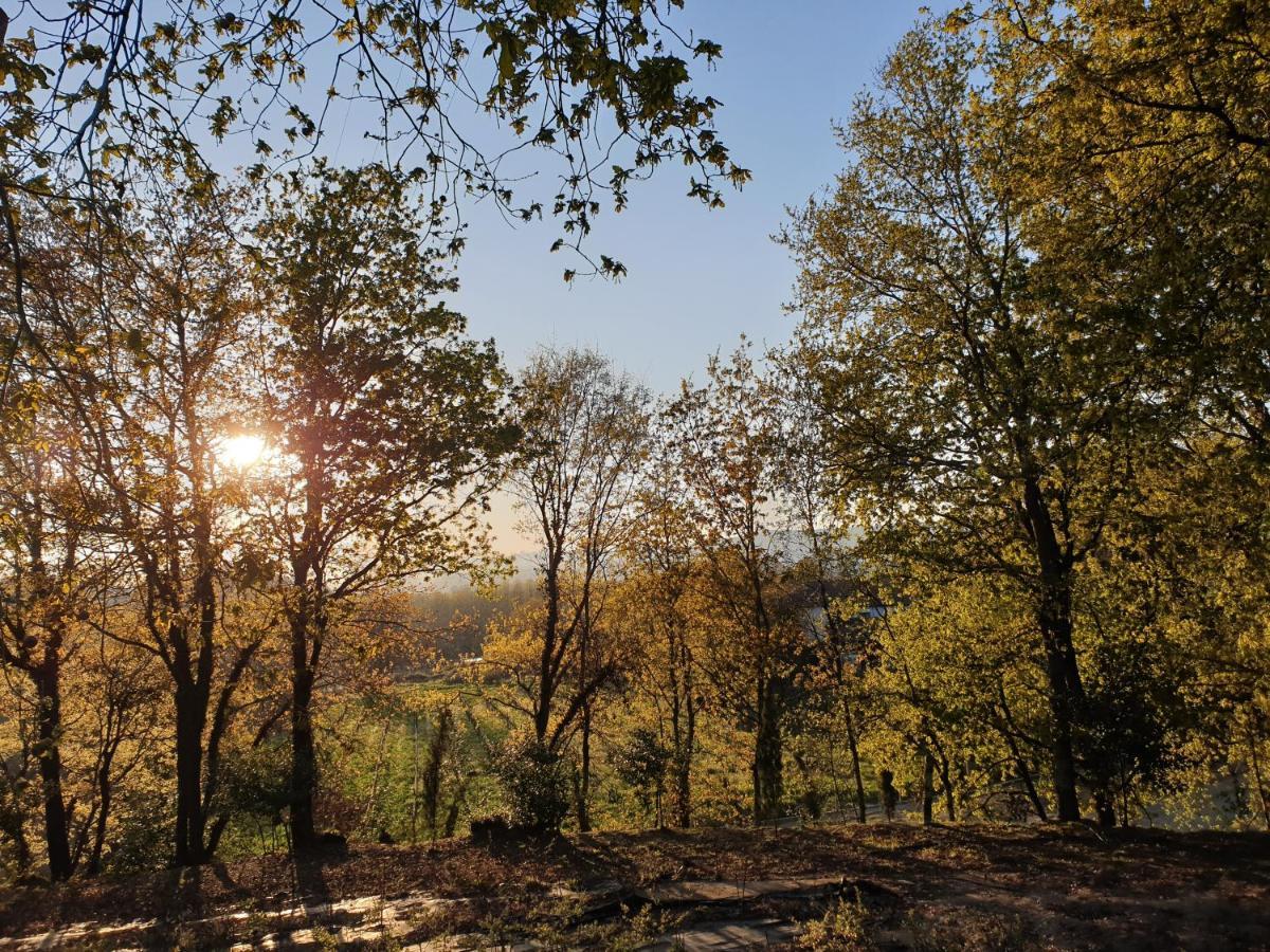 Quinta Das Essencias Penafiel Dış mekan fotoğraf
