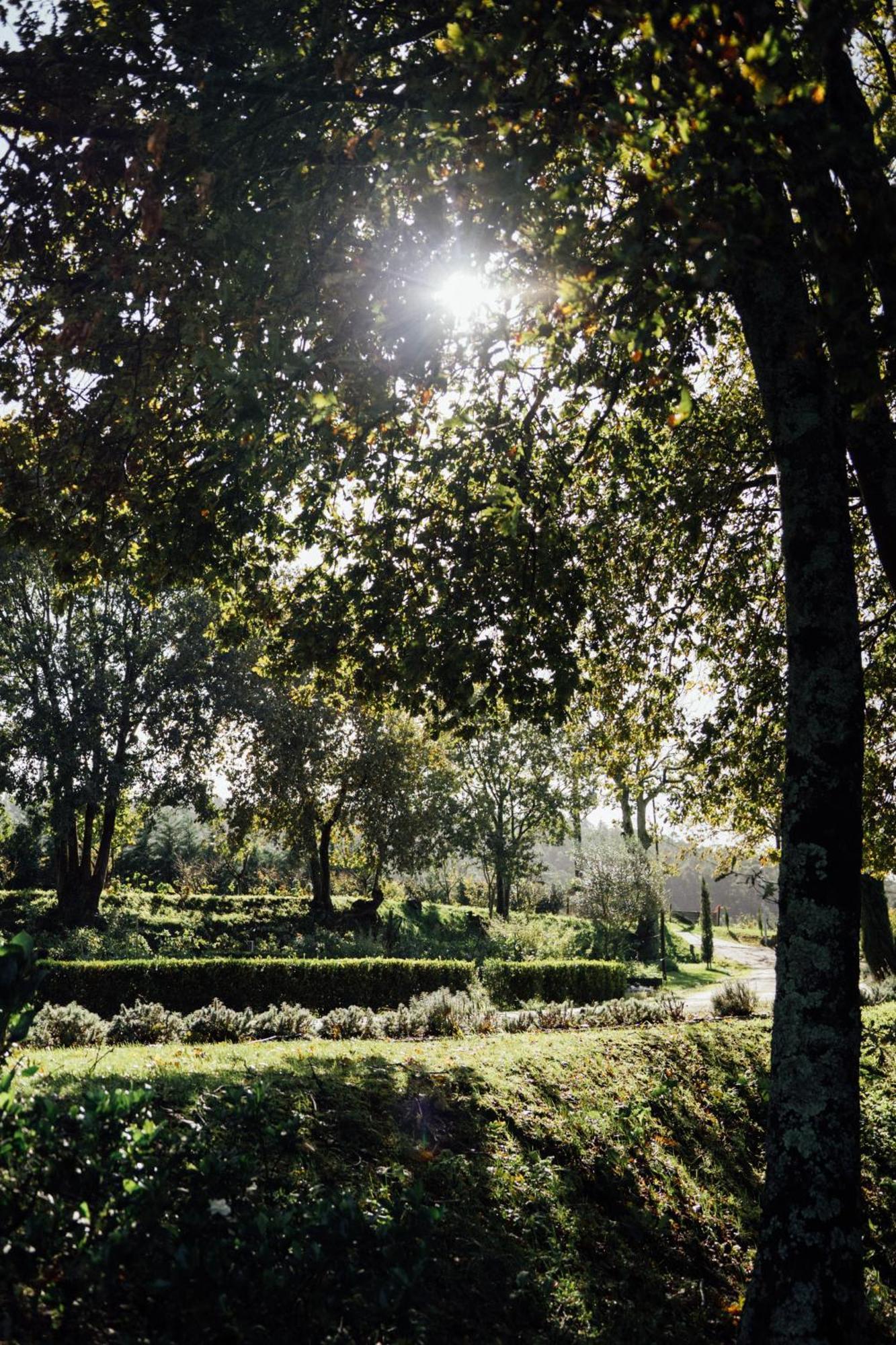 Quinta Das Essencias Penafiel Dış mekan fotoğraf